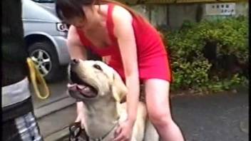 Dark hound and steamy Asian slut in flawless homemade bestiality XXX