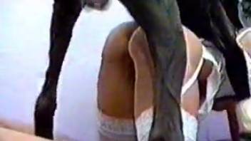 Voluptuous dark-haired woman being pounded by a well-endowed guy on webcam