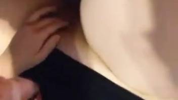 Curvy dark-haired young woman receives cunnilingus and is impregnated by a canine