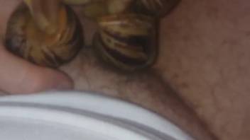 Sexy guy can't stop banging snails from a first-person view