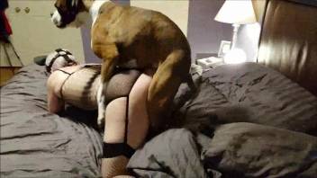 Fishnet-adoring sexy MILF controlled by a perverted mutt