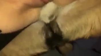 Shaved vagina hottie being controlled by a perverted canine