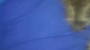 Guy's erect dick being satisfied in point-of-view by a wild creature