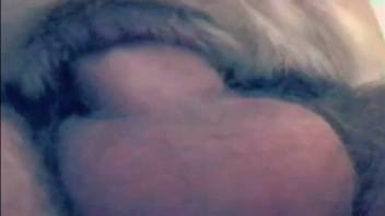 Guy is thrilled to bang an obedient beast on film
