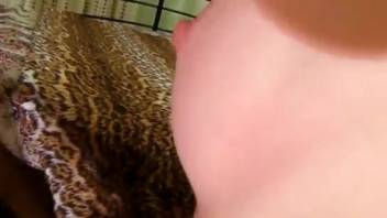 Hot-booty dark-haired babe shoves the canine cock into her tight new pussy