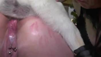 Sex