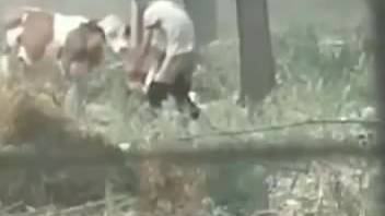 Hidden camera video depicting a commanding beast penetrator